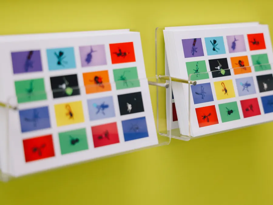 Postkarten des Projekts in Acrylhalterungen an einer gelben Wand in der Ausstellung HOME STREET HOME